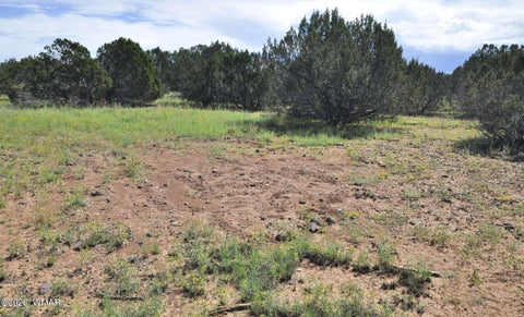 Tiny photo for 9184C Chimisa Ranch Rd RD, Show Low, AZ 85901 (MLS # 263076)