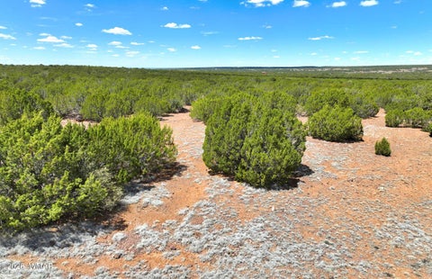 Tiny photo for 9184C Chimisa Ranch Rd RD, Show Low, AZ 85901 (MLS # 263076)