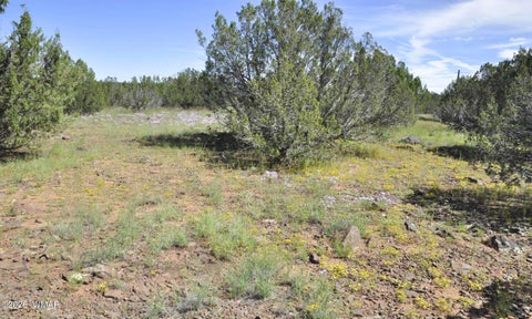 Tiny photo for 9184C Chimisa Ranch Rd RD, Show Low, AZ 85901 (MLS # 263076)