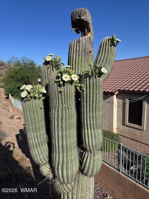 Tiny photo for 9526 E Obsidian Court, Gold Canyon, AZ 85118 (MLS # 260166)