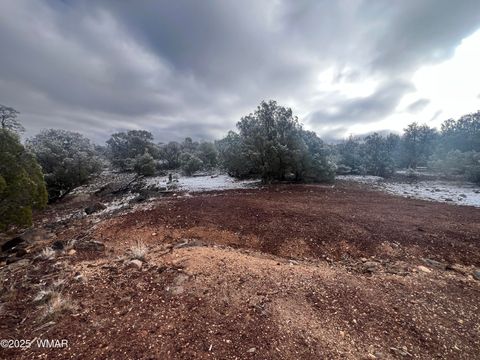 Tiny photo for 1847 Rocky Bottom Place, Show Low, AZ 85901 (MLS # 258836)