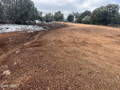 Tiny photo for 1847 Rocky Bottom Place, Show Low, AZ 85901 (MLS # 258836)