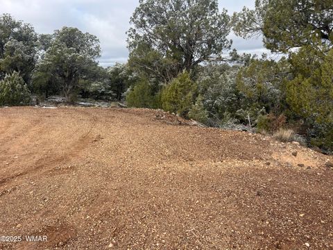 Tiny photo for 1847 Rocky Bottom Place, Show Low, AZ 85901 (MLS # 258836)