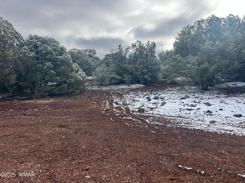 Tiny photo for 1847 Rocky Bottom Place, Show Low, AZ 85901 (MLS # 258836)