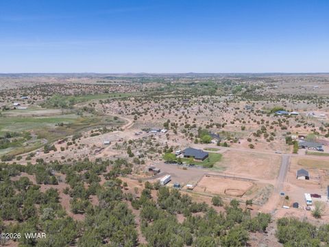 Tiny photo for 7631 Baldwin Lane, Taylor, AZ 85939 (MLS # 259430)