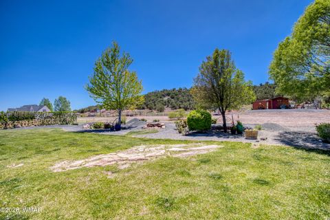 Tiny photo for 7631 Baldwin Lane, Taylor, AZ 85939 (MLS # 259430)