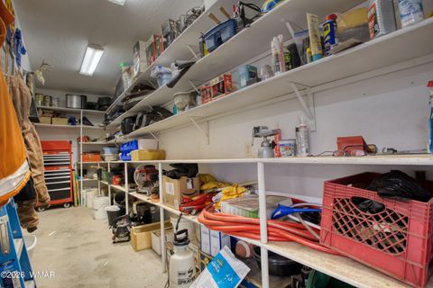 Tiny photo for 7631 Baldwin Lane, Taylor, AZ 85939 (MLS # 259430)