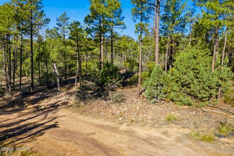 Tiny photo for 1920 S Pleasant View Drive, Show Low, AZ 85901 (MLS # 258580)