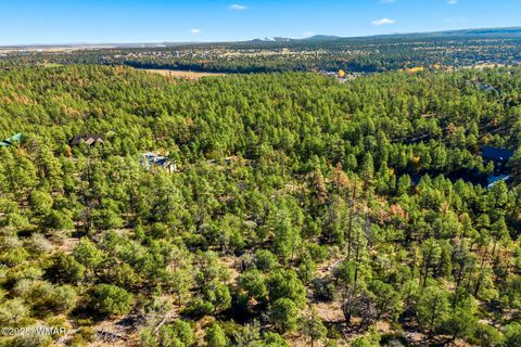 Tiny photo for 1920 S Pleasant View Drive, Show Low, AZ 85901 (MLS # 258580)