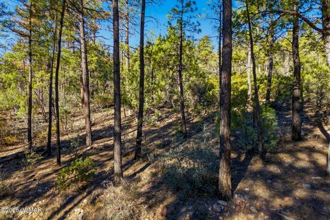 Tiny photo for 1920 S Pleasant View Drive, Show Low, AZ 85901 (MLS # 258580)