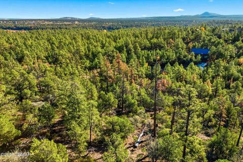 Tiny photo for 1920 S Pleasant View Drive, Show Low, AZ 85901 (MLS # 258580)