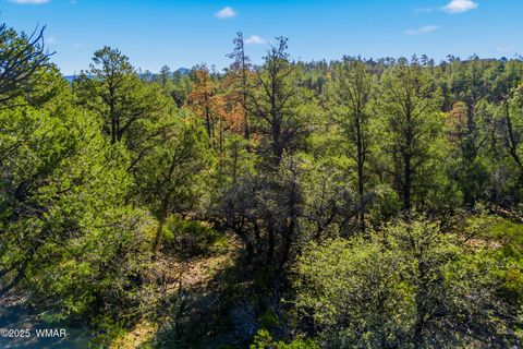 Tiny photo for 1920 S Pleasant View Drive, Show Low, AZ 85901 (MLS # 258580)