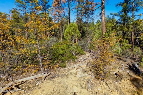 Tiny photo for 1920 S Pleasant View Drive, Show Low, AZ 85901 (MLS # 258580)