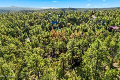 Tiny photo for 1920 S Pleasant View Drive, Show Low, AZ 85901 (MLS # 258580)