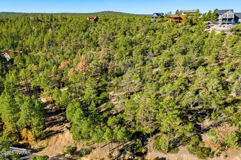 Tiny photo for 1920 S Pleasant View Drive, Show Low, AZ 85901 (MLS # 258580)