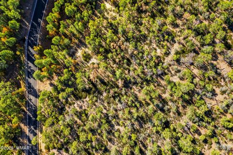 Tiny photo for 1920 S Pleasant View Drive, Show Low, AZ 85901 (MLS # 258580)