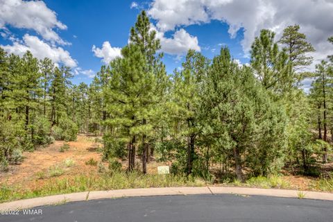 Tiny photo for 2080 S High Sierra Court, Show Low, AZ 85901 (MLS # 254767)