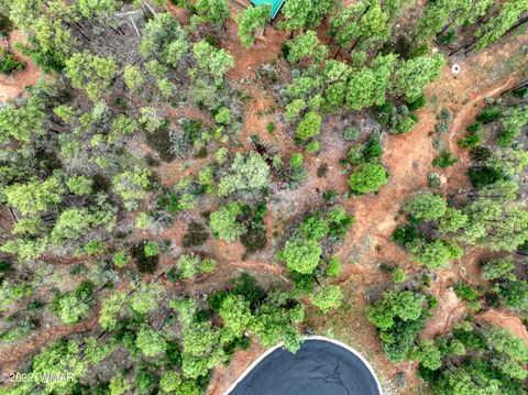 Tiny photo for 2080 S High Sierra Court, Show Low, AZ 85901 (MLS # 254767)