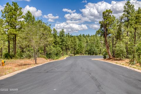 Tiny photo for 2080 S High Sierra Court, Show Low, AZ 85901 (MLS # 254767)