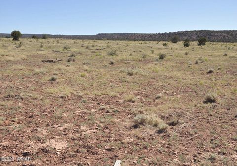Tiny photo for 13 Phillips, Snowflake, AZ 85937 (MLS # 246739)