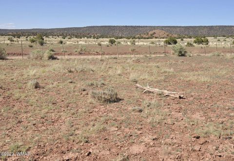 Tiny photo for 13 Phillips, Snowflake, AZ 85937 (MLS # 246739)
