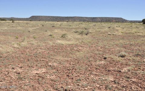 Tiny photo for 13 Phillips, Snowflake, AZ 85937 (MLS # 246739)