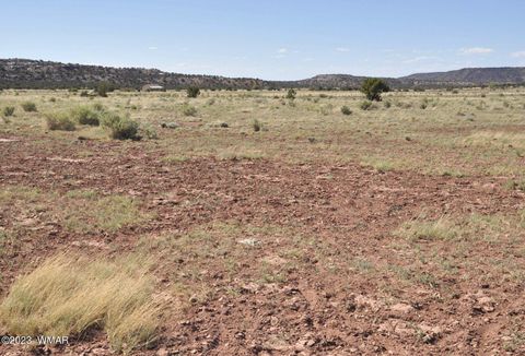 Tiny photo for 13 Phillips, Snowflake, AZ 85937 (MLS # 246739)