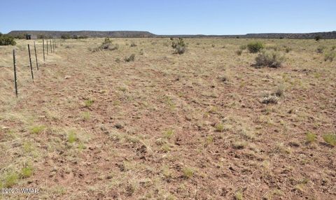 Tiny photo for 13 Phillips, Snowflake, AZ 85937 (MLS # 246739)