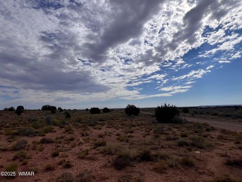 Tiny photo for 000 Ranch View Drive, Snowflake, AZ 85937 (MLS # 258978)