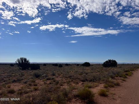 Tiny photo for 000 Ranch View Drive, Snowflake, AZ 85937 (MLS # 258978)