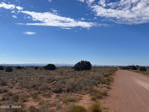 Tiny photo for 000 Ranch View Drive, Snowflake, AZ 85937 (MLS # 258978)