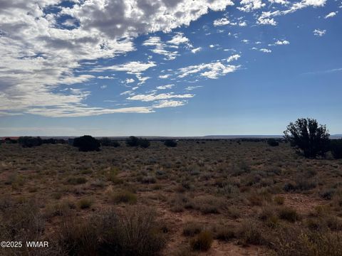 Tiny photo for 000 Ranch View Drive, Snowflake, AZ 85937 (MLS # 258978)