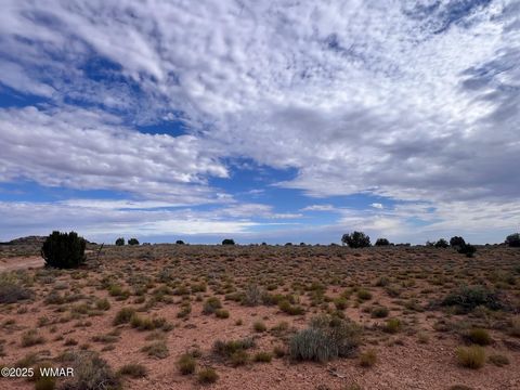 Tiny photo for 000 Ranch View Drive, Snowflake, AZ 85937 (MLS # 258978)