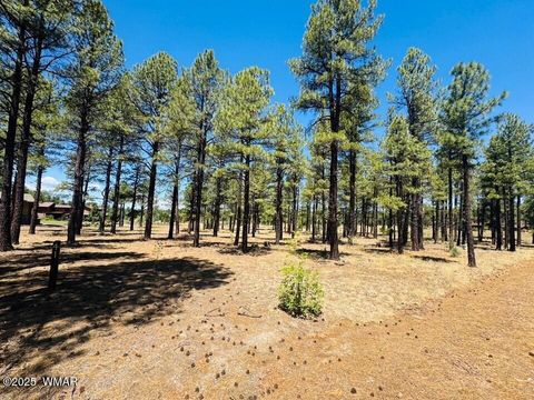 Tiny photo for 9576 Sierra Springs Drive, Pinetop, AZ 85935 (MLS # 256962)