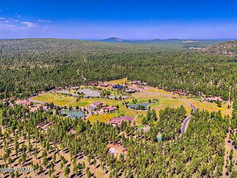 Tiny photo for 9576 Sierra Springs Drive, Pinetop, AZ 85935 (MLS # 256962)