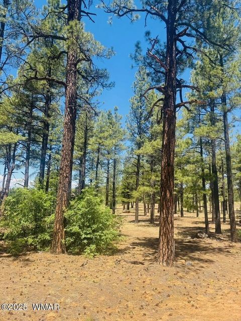 Tiny photo for 9576 Sierra Springs Drive, Pinetop, AZ 85935 (MLS # 256962)