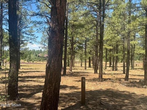Tiny photo for 9576 Sierra Springs Drive, Pinetop, AZ 85935 (MLS # 256962)