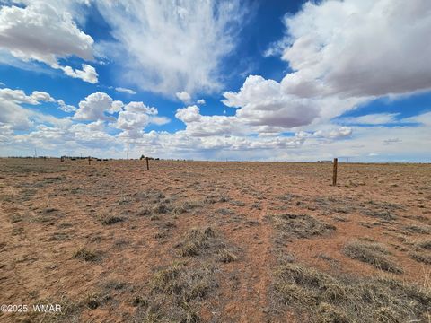 Tiny photo for 7924 Riviera Boulevard, Holbrook, AZ 86025 (MLS # 241928)