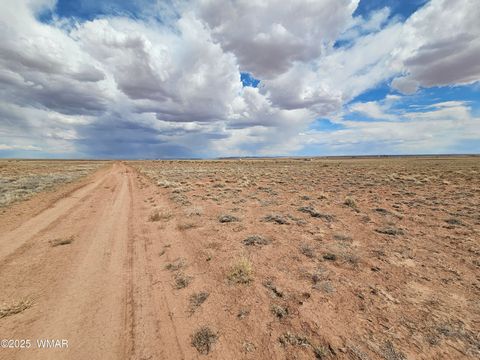 Tiny photo for 7924 Riviera Boulevard, Holbrook, AZ 86025 (MLS # 241928)