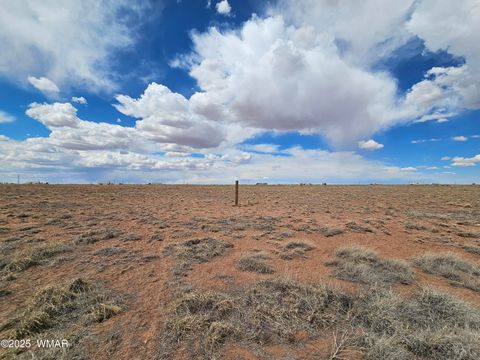 Tiny photo for 7924 Riviera Boulevard, Holbrook, AZ 86025 (MLS # 241928)