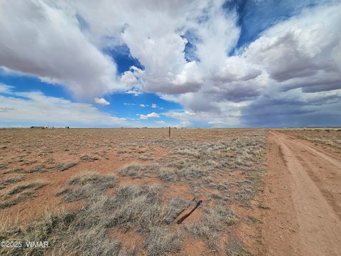 Tiny photo for 7924 Riviera Boulevard, Holbrook, AZ 86025 (MLS # 241928)