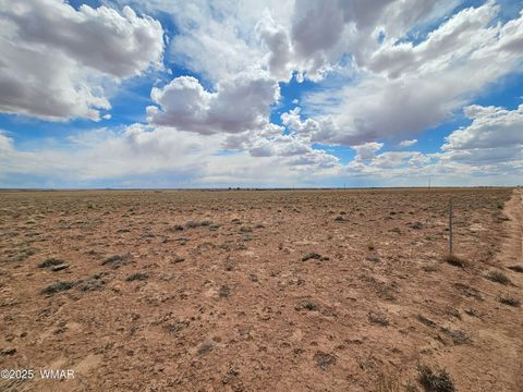 Tiny photo for 7924 Riviera Boulevard, Holbrook, AZ 86025 (MLS # 241928)