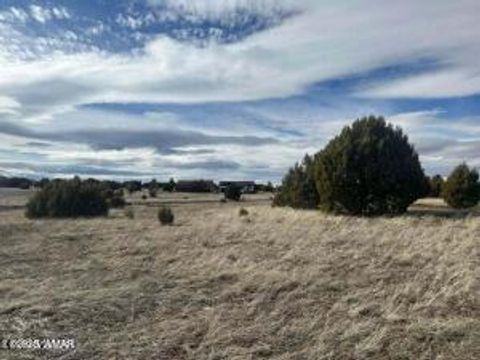 Tiny photo for 1120 S Ridgeway Place #1B Lot 89, Show Low, AZ 85901 (MLS # 256501)