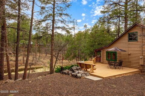 Tiny photo for 571 W Pine Shadow Drive, Lakeside, AZ 85929 (MLS # 255419)