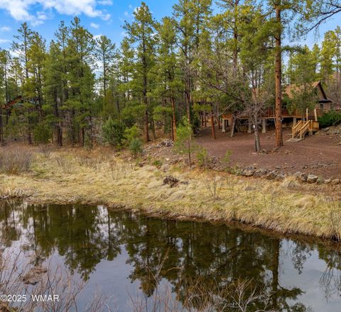 Tiny photo for 571 W Pine Shadow Drive, Lakeside, AZ 85929 (MLS # 255419)