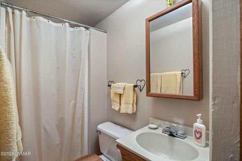 Tiny photo for 571 W Pine Shadow Drive, Lakeside, AZ 85929 (MLS # 255419)