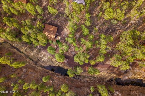 Tiny photo for 571 W Pine Shadow Drive, Lakeside, AZ 85929 (MLS # 255419)