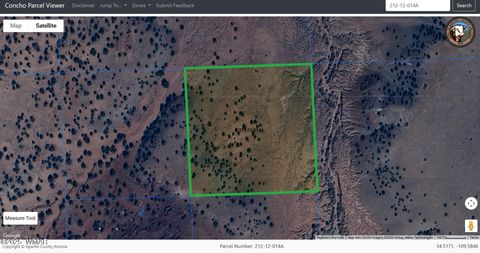 Tiny photo for TBD Big Valley Ranches 10ac, Concho, AZ 85924 (MLS # 258914)