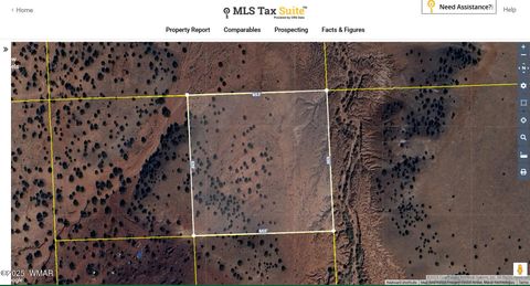 Photo of TBD Big Valley Ranches 10ac, Concho, AZ 85924 (MLS # 258914)