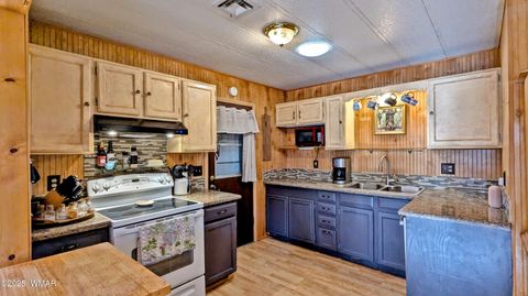Tiny photo for 1009 Chaparral Drive, Show Low, AZ 85901 (MLS # 253675)